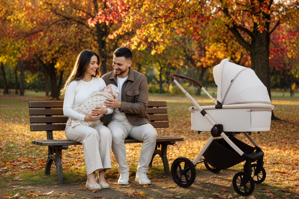 Carucior 2 in 1 BabyLux BOLDO
